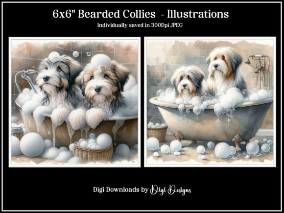 Bearded Collies Illustrations: Creative Commercial Use