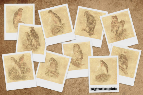 Enchant Your Projects with Gilded Castles and Birds Vol. 1